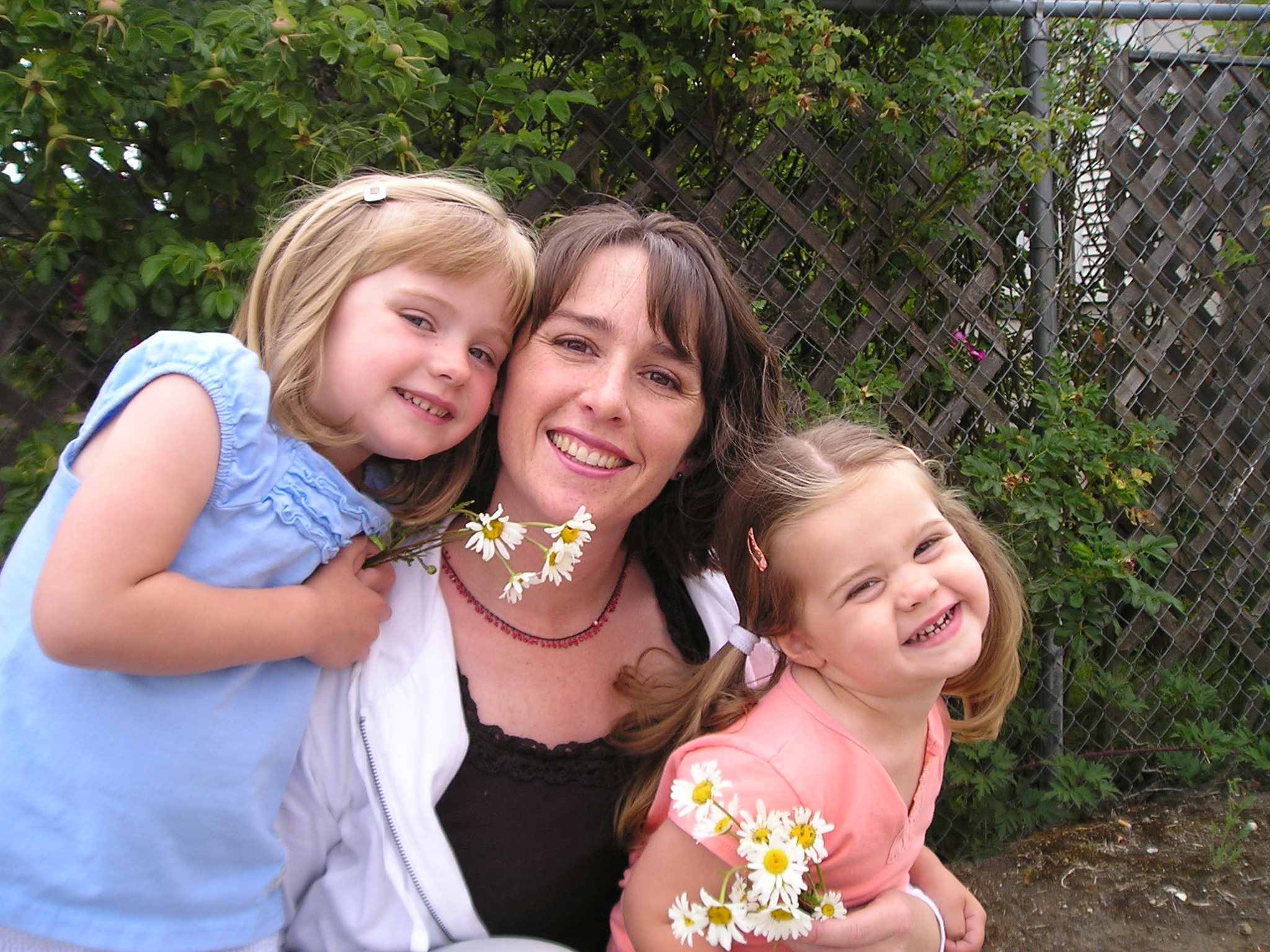 Image description
