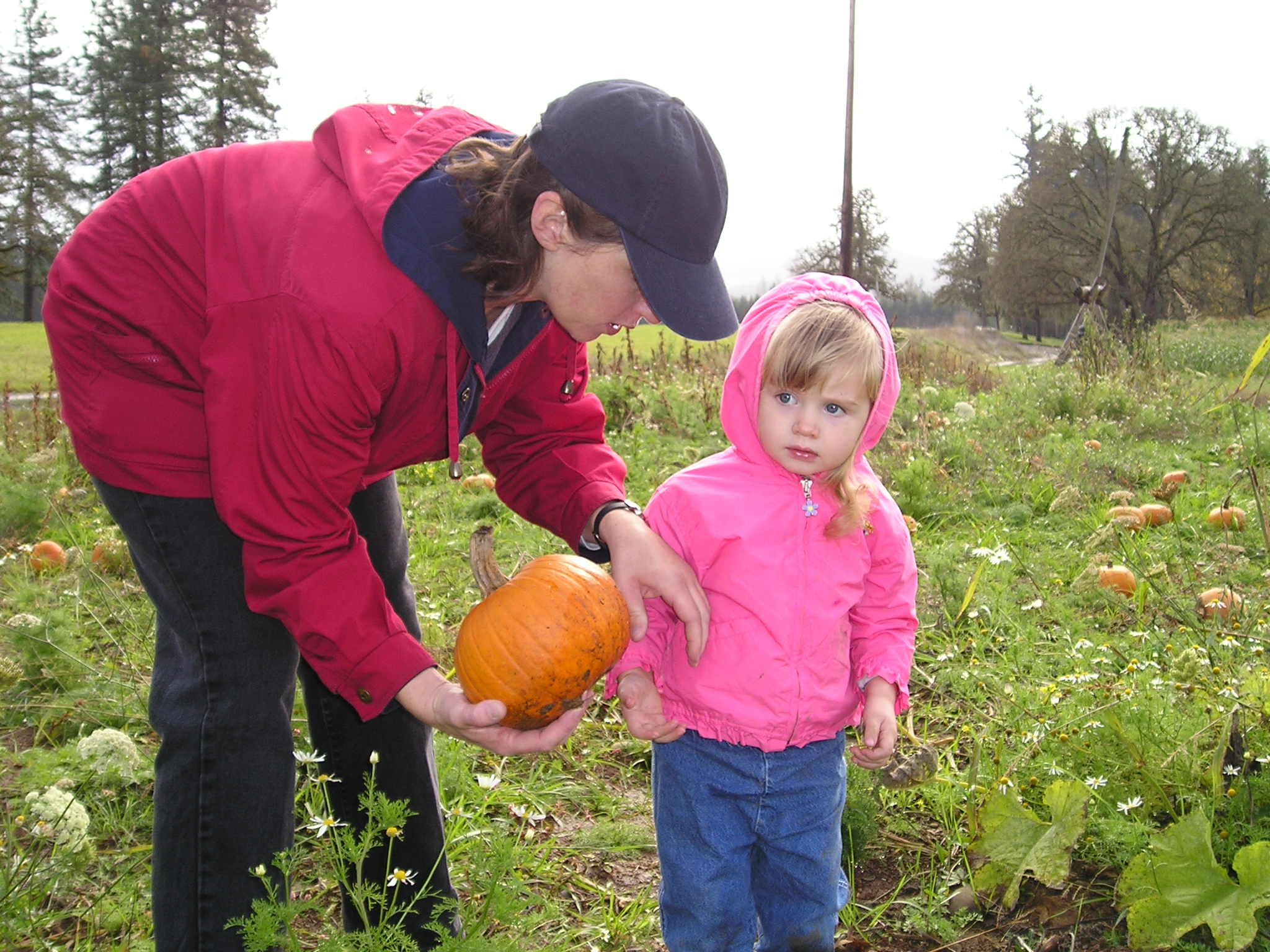 Image description